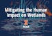 Mitigating the Human Impact on Wetlands