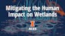Mitigating the Human Impact on Wetlands