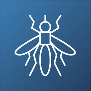 Developing the SIR Model