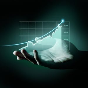 IntelliJ IDEA Case Study - Stock Management System from EDUCBA online course platform