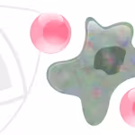 Introduction to the Biology of Cancer