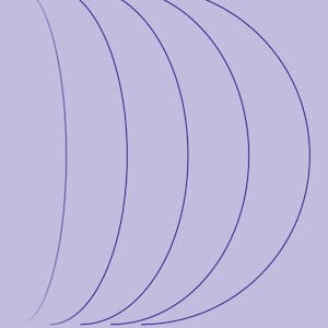 Linux Under the Hood from Pearson online course platform