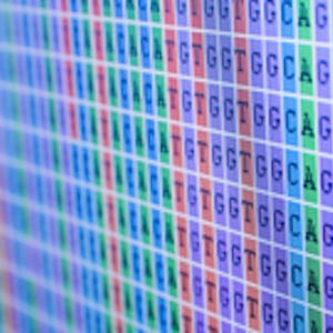 Bioinformatic Methods II