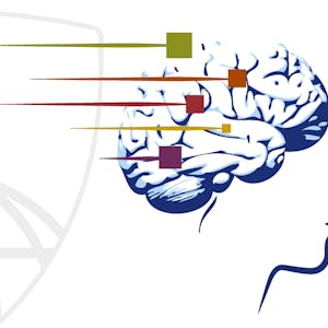 Data Science Capstone