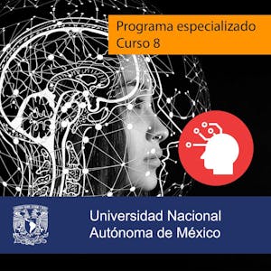 Image for the Cognición encarnada course