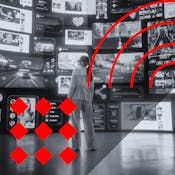 The Role of the Media