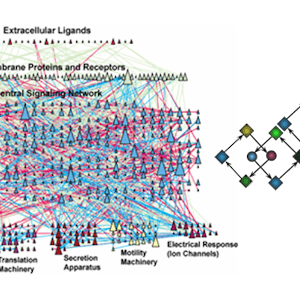 Introduction to Systems Biology from Coursera | Course by Edvicer