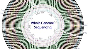 Whole genome sequencing of bacterial genomes - tools and applications