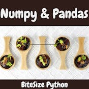 BiteSize Python: NumPy and Pandas