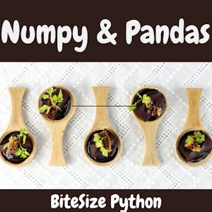 BiteSize Python: NumPy and Pandas - Online CE Course