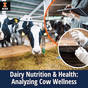 Dairy Nutrition & Health: Analyzing Cow Wellness - Online CE Course