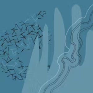 Image for the Oracle APEX: Foundations course