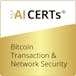 Bitcoin Transaction & Network Security 