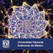 Salud desde las ciencias de la complejidad