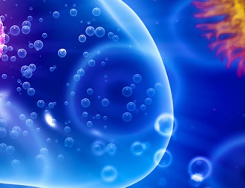 Introduction to Genetics and Evolution Course by Duke University | Coursera