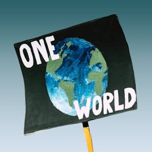 Learning for a Sustainable Future: Live at COP29 - Online CE Course