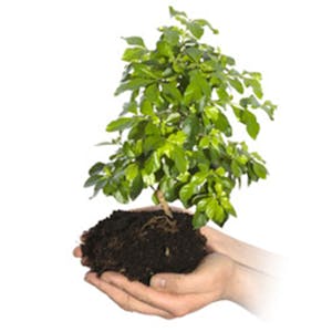 Grow to Greatness: Smart Growth for Private Businesses, Part II - Online CE Course