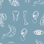 Введение в физиологию (Introduction to physiology)