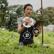 IoT Enabled Farming