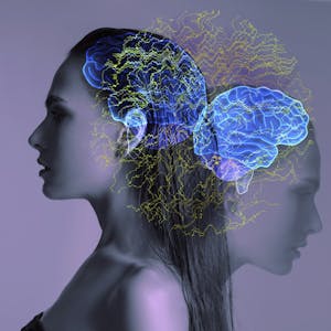Human Cognitive Capacities & Limitations - Online CE Course