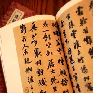 東坡詞 (Ci Poetry of Su Dong Po)