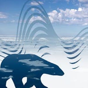 Arctic Economy
