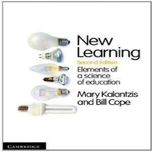 New Learning Principles and Patterns of Pedagogy