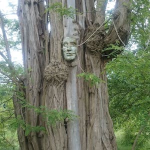 Image for the Interpretable Machine Learning Applications: Part 1 online course