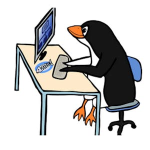 Image for the Wireshark for Beginners: TCP IP Protocol Fundamentals course