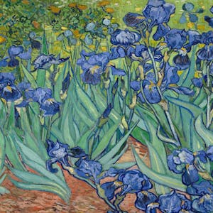 Historia del Arte Del Barroco al Arte Posmoderno