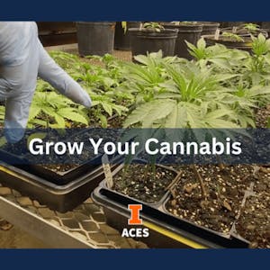 Grow Your Cannabis - Online CE Course