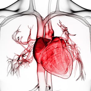 Vital Signs Understanding What the Body Is Telling Us
