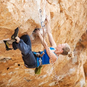 Anatomy & Physiology: Support & Movement - Online CE Course