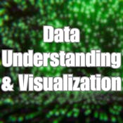 Data Understanding and Visualization