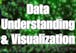 Data Understanding and Visualization