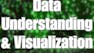 Data Understanding and Visualization