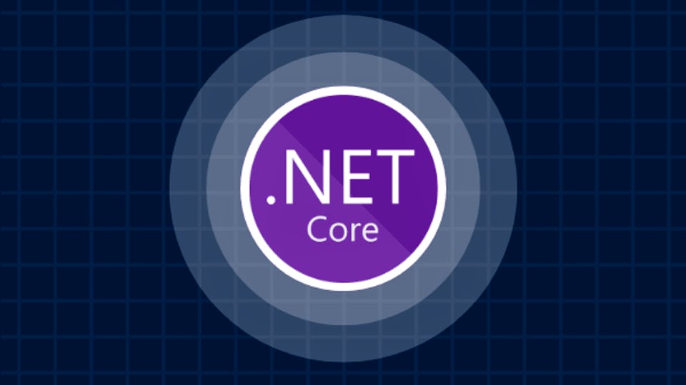 Develop an ASP.NET Core web app that consumes an API | Coursera