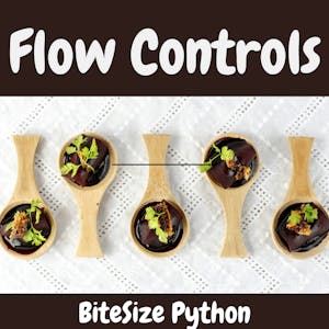 BiteSize Python for Absolute Beginners: Flow Controls - Online CE Course