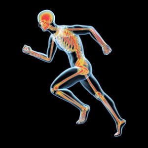 Inquiries Into Bipedalism - Online CE Course