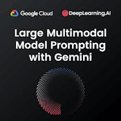 Large Multimodal Model Prompting with Gemini