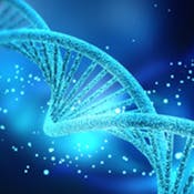 Creating and Developing a Tech Startup