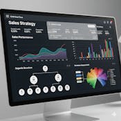 Sales Structures, Systems & Excellence