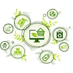 Packaging Design for the Circular Economy