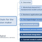 Blockchain for the decision maker