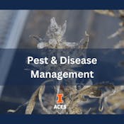 Pest & Disease Management