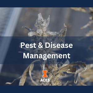 Pest & Disease Management - Online CE Course