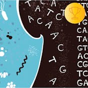Введение в Биоинформатику: Метагеномика (Introduction to Bioinformatics: Metagenomics)