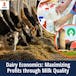 Dairy Economics: Maximizing Profits through Milk Quality
