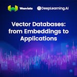 Vector Databases: from Embeddings to Applications