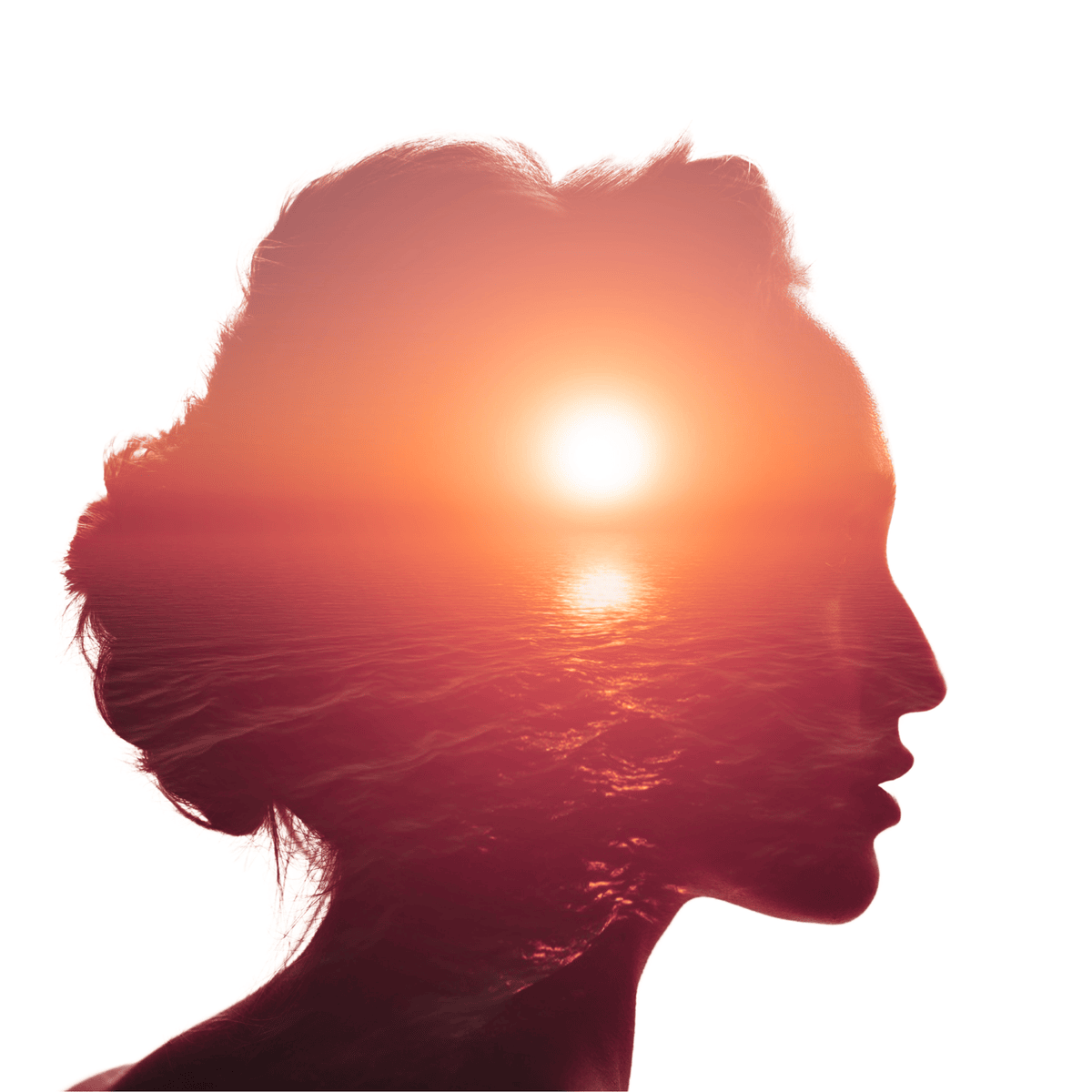 Personality in Action: Science to Shape Your Life